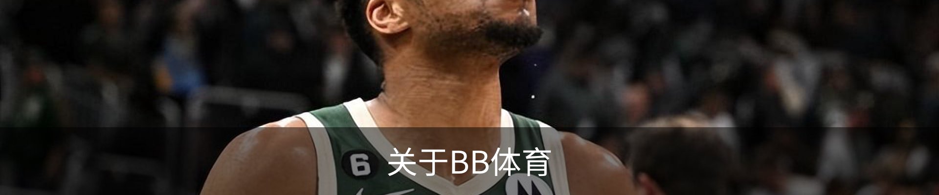 关于BB体育